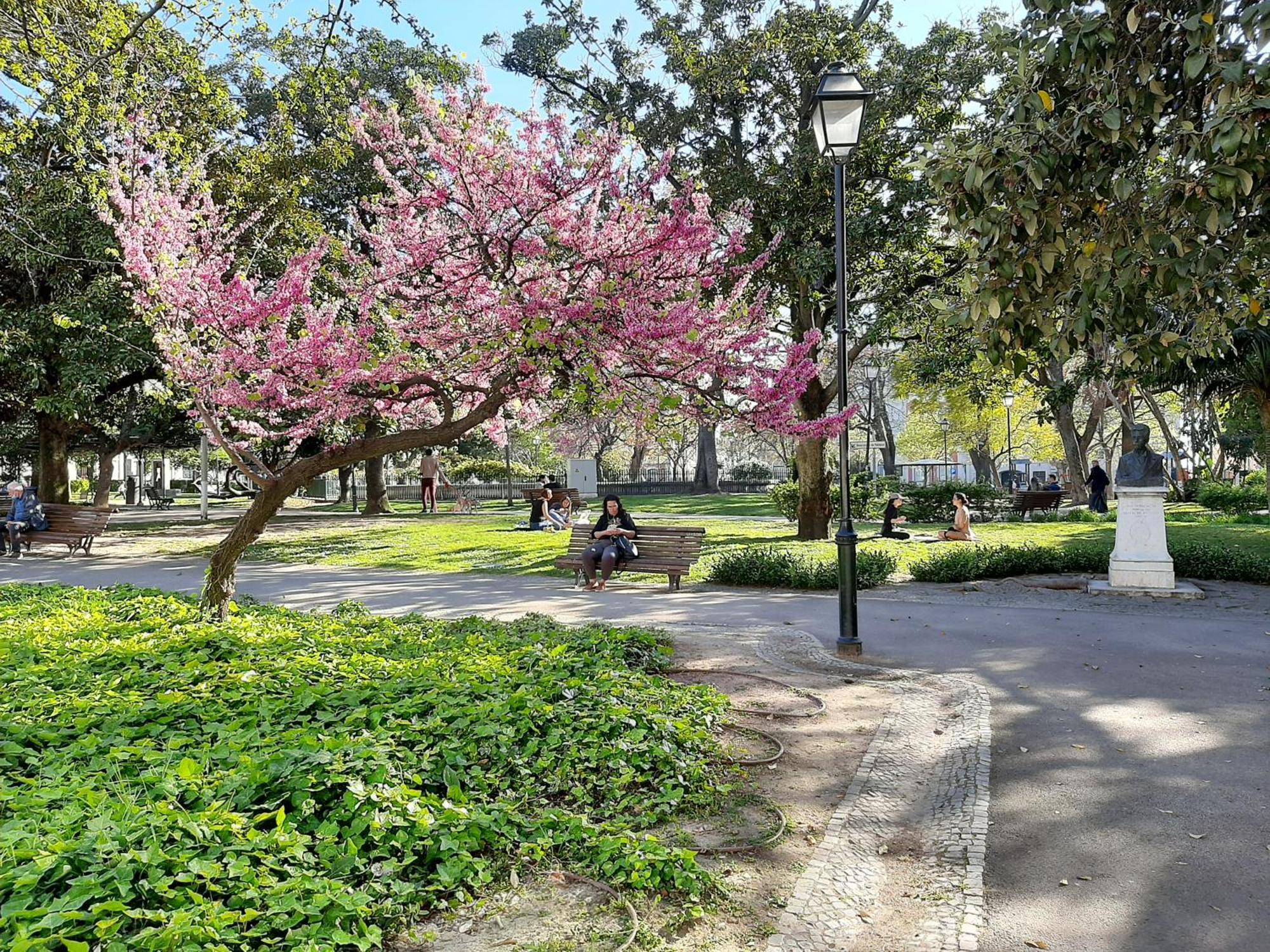 Luminous Lisbon Διαμέρισμα Εξωτερικό φωτογραφία